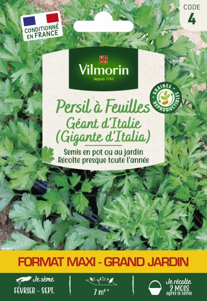Aromatiques - Persil Gigante d'Italie (Géant d'Italie) - Grand Modèle - face recto